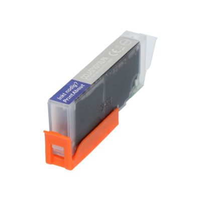 Druckerpatrone kompatibel mit Canon CLI-571GY XL - Grau - Hohe Kapazität