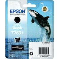 Epson T7601 (C13T76014010) Druckerpatrone Foto-Schwarz