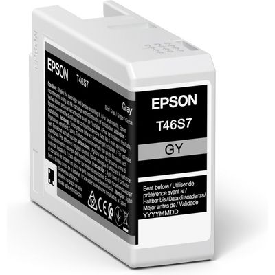 Epson T46S7 - Grau - Druckerpatrone