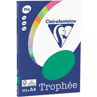 Clairefontaine Tannengrün A4 Farbiges Papier 80 g/m² (100 Blatt)