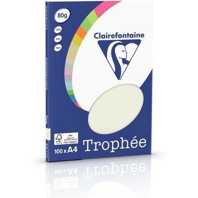 Clairefontaine Perlgrau A4 Farbiges Papier 80 g/m² (100 Blatt)