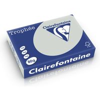 Clairefontaine Hellgrau A4 Farbiges Papier 80 g/m² (500 Blatt)