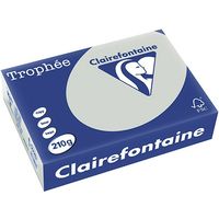 Clairefontaine Hellgrau A4 Farbiges Papier 210 g/m² (250 Blatt)