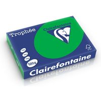 Clairefontaine Billard Grün A4 Farbiges Papier 120 g/m² (250 Blatt)