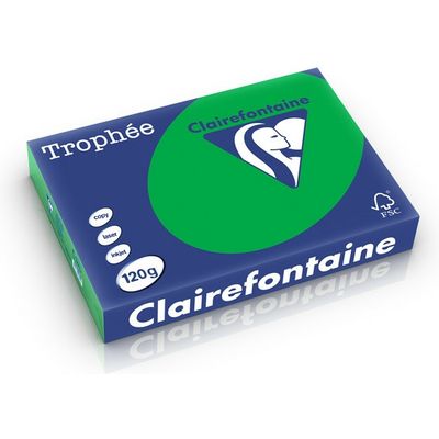Clairefontaine Billard Grün A4 Farbiges Papier 120 g/m² (250 Blatt)
