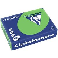 Clairefontaine Grasgrün A4 Farbiges Papier 210 g/m² (250 Blatt)