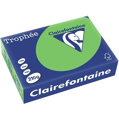 Clairefontaine Grasgrün A4 Farbiges Papier 210 g/m² (250 Blatt)