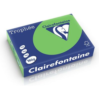Clairefontaine Grasgrün A4 Farbiges Papier 160 g/m² (250 Blatt)