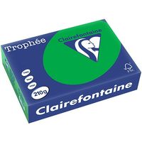 Clairefontaine Billard Grün Farbiges Papier A4 210 g/m² (250 Blatt)