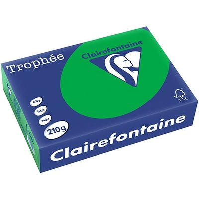 Clairefontaine Billard Grün Farbiges Papier A4 210 g/m² (250 Blatt)