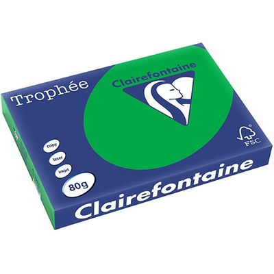 Clairefontaine Billard Grün A3 Farbiges Papier 80 g/m² (500 Blatt)