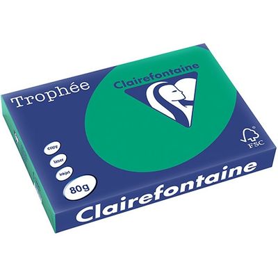 Clairefontaine Tannengrün A3 Farbiges Papier 80 g/m² (500 Blatt)