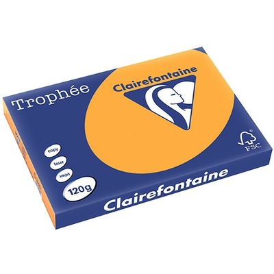 Clairefontaine Orange A3 Farbiges Papier 120 g/m² (250 Blatt)