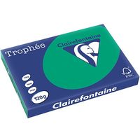 Clairefontaine Tannengrün A3 Farbiges Papier 120 g/m² (250 Blatt)