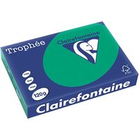 Clairefontaine Tannengrün A4 Farbiges Papier 120 g/m² (250 Blatt)